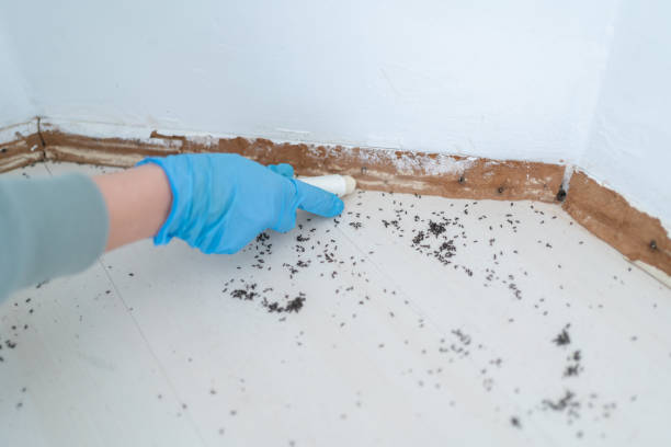 Best Insect Control  in West Unity, OH