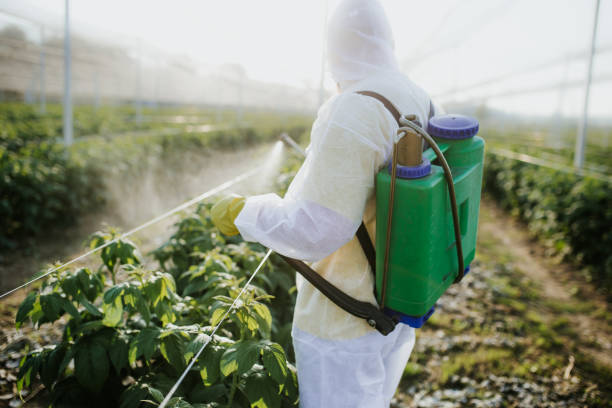 Best Wildlife Control Services  in West Unity, OH